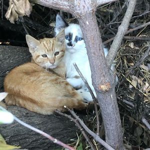 Meet your Posher, Katrina